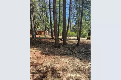 19344 Louis Road, Grass Valley, CA 95945 - Photo 32