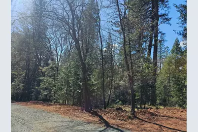 19344 Louis Road, Grass Valley, CA 95945 - Photo 38