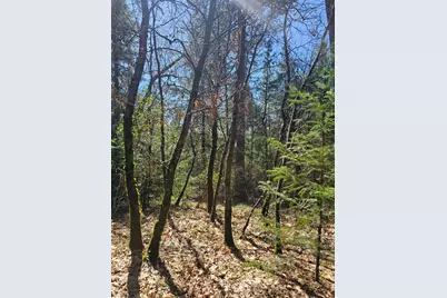 19344 Louis Road, Grass Valley, CA 95945 - Photo 16