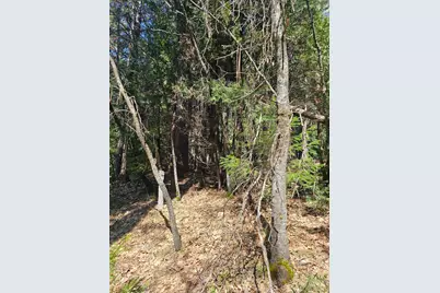 19344 Louis Road, Grass Valley, CA 95945 - Photo 18