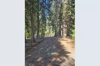 19344 Louis Road, Grass Valley, CA 95945 - Photo 46