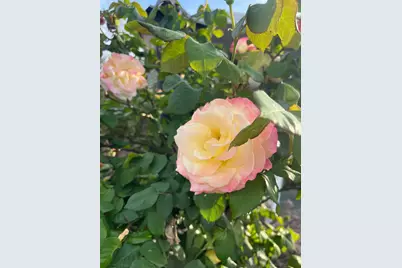 Sunrise Boulevard #73, Citrus Heights, CA 95610 - Photo 16