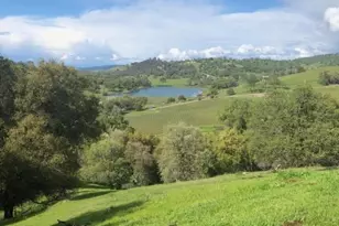 11195 Vintage Rd, Ione, CA 95640 - Photo 8