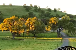 11195 Vintage Rd, Ione, CA 95640 - Photo 6