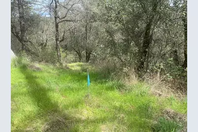 17214 Scopar Road, Grass Valley, CA 95949 - Photo 10