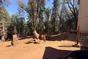 2737 Birch Ave, Camino, CA 95709 - Photo 50