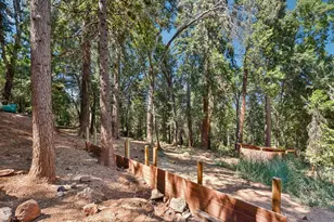 2737 Birch Ave, Camino, CA 95709 - Photo 42