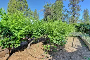 11625 Tyler Foote Rd, Nevada City, CA 95959 - Photo 84