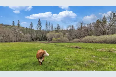 11625 Tyler Foote Road, Nevada City, CA 95959 - Photo 76