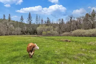 11625 Tyler Foote Rd, Nevada City, CA 95959 - Photo 76