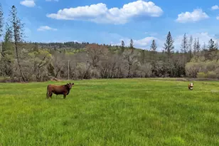 11625 Tyler Foote Rd, Nevada City, CA 95959 - Photo 68