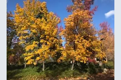 1238 Canyon Ridge Court, Murphys, CA 95247 - Photo 16