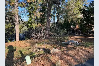 1238 Canyon Ridge Court, Murphys, CA 95247 - Photo 4