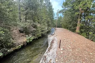 10671 Lowell Hill Rd, Nevada City, CA 95959 - Photo 34