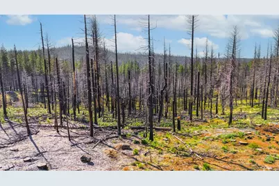 10020 Grizzly Flat Road, Grizzly Flats, CA 95636 - Photo 10