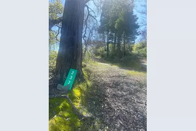 337 Rocky Point, Oroville, CA 95966 - Photo 12