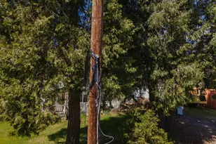 155 Whitcomb Ave, Colfax, CA 95713 - Photo 16