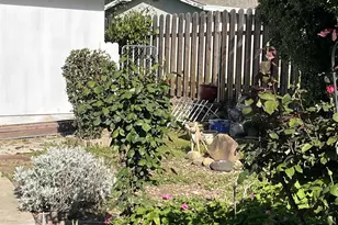 6106 Madison Ave, Carmichael, CA 95608 - Photo 36