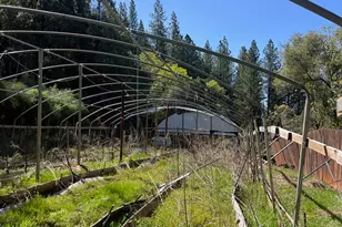 74 Bandit Ln, Oroville, CA 95966 - Photo 14