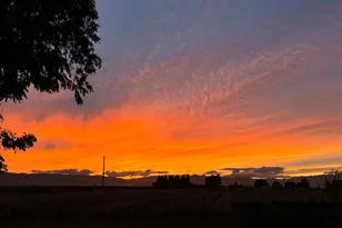 5621 Hankins Rd, Williams, CA 95987 - Photo 56