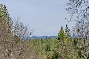 2383 Independence, Rail Road Flat, CA 95248 - Photo 6