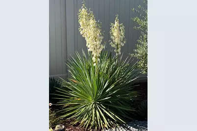 6589 Primavera Lane, El Dorado Hills, CA 95762 - Photo 44