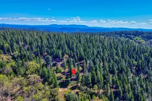 26601 High Trees Dr, Pioneer, CA 95666 - Photo 6