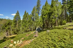 26601 High Trees Dr, Pioneer, CA 95666 - Photo 54