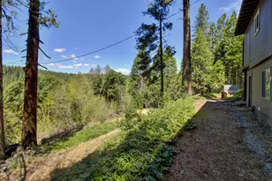 26601 High Trees Dr, Pioneer, CA 95666 - Photo 60