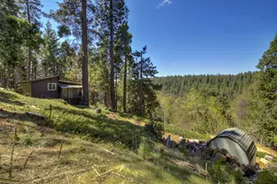 26601 High Trees Dr, Pioneer, CA 95666 - Photo 16