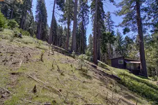 26601 High Trees Dr, Pioneer, CA 95666 - Photo 76