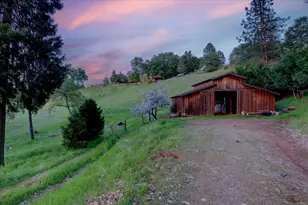 12368 Appaloosa Ct, Grass Valley, CA 95949 - Photo 4