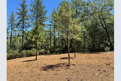 16689 Winchester Club Drive, Meadow Vista, CA 95722 - Photo 2