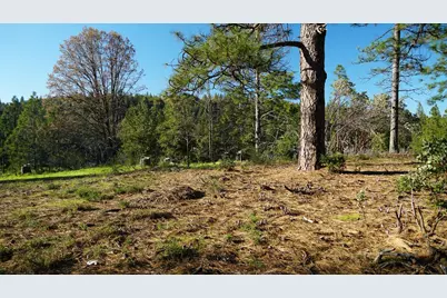 660 Chief Kelly Drive, Nevada City, CA 95959 - Photo 10