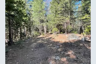 12664 Last Chance Mine Road, Nevada City, CA 95959 - Photo 2