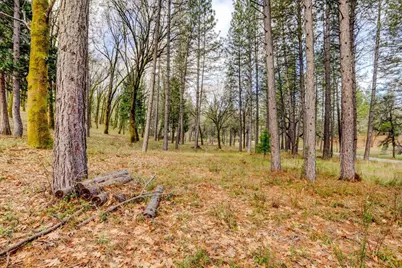 12787 Mystic Mine Road, Nevada City, CA 95959 - Photo 46