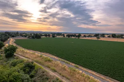 38067 County Road 17, Woodland, CA 95695 - Photo 8