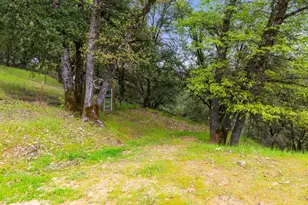 6432 Happy Valley Rd, Somerset, CA 95684 - Photo 20