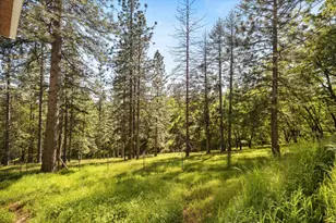 4540 Kruk Trail, Placerville, CA 95667 - Photo 42