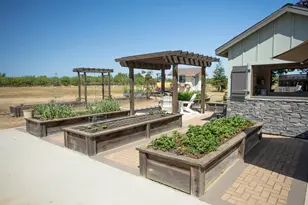 509 Wyer Rd, Arbuckle, CA 95912 - Photo 22