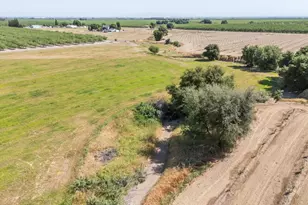 509 Wyer Rd, Arbuckle, CA 95912 - Photo 80