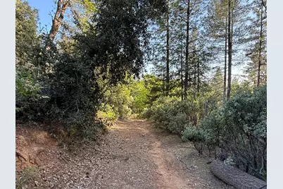 19810 Grizzly Creek Road, Nevada City, CA 95959 - Photo 6