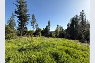 19810 Grizzly Creek Road, Nevada City, CA 95959 - Photo 2