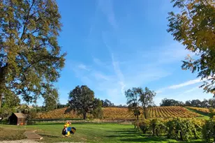 10120 Shenandoah Rd, Plymouth, CA 95669 - Photo 92