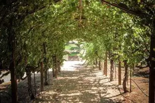 10120 Shenandoah Rd, Plymouth, CA 95669 - Photo 10