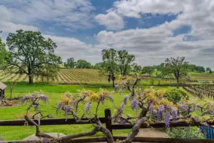 10120 Shenandoah Rd, Plymouth, CA 95669 - Photo 82