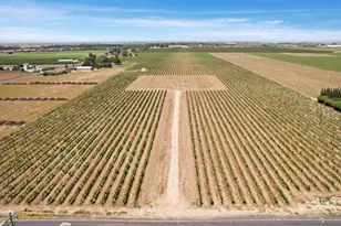 16701 Devries, Lodi, CA 95242 - Photo 1