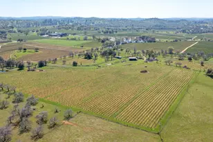 20865 Shenandoah School Rd, Plymouth, CA 95669 - Photo 66