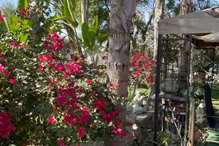 30500 Rd 72, Visalia, CA 93291 - Photo 26