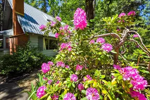 11306 Winding Way, Clipper Mills, CA 95930 - Photo 30